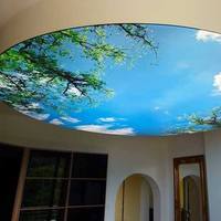 Plafonds tendus en membrane PVC avec cadre en aluminium bleu ciel translucide rétroéclairé par LED, garantie de qualité, boîtes lumineuses, design architectural