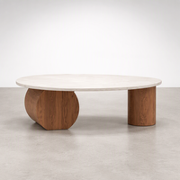 Table basse en bois massif avec accent marbre, design bas, pour salon, petit appartement, décoration de maison d'hôtes