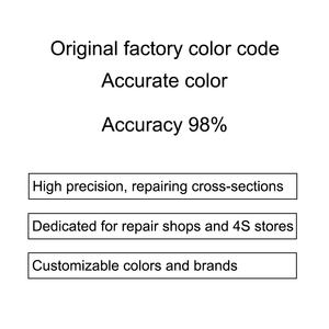Hoge Concentratie Beginnersvriendelijke Spray Gelijkmatig Afgewerkte Verf Koraalroze Voor Nieuwe Energievoertuigen Byd Zeemeeuw - Product Image 4