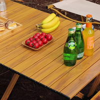 Vente en gros Table de pique-nique de camping pliable et légère pour les activités du parc