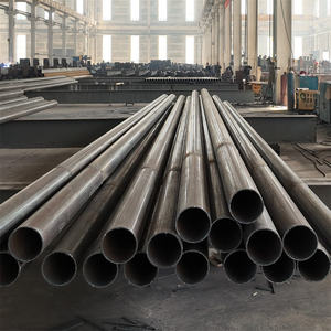 Capannone Prefabbricato in Acciaio per Allevamento di Polli, Design Moderno, Struttura Leggera, Edificio di Controllo per Pollame, Vendita con Taglio e Piegatura - Product Image 5