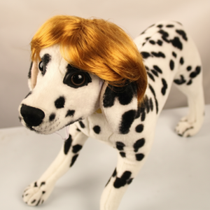 Accesorio de disfraz de orejas de perro para perros - Product Image 1