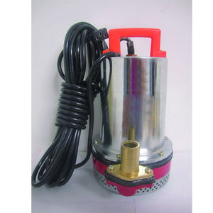 Pompe submersible CC sans balais <span class=keywords><strong>DCP</strong></span>-130 48V 1,5 CV en acier inoxydable et fonte, pompe centrifuge à vis pour le dosage, support OEM - Product Image 1