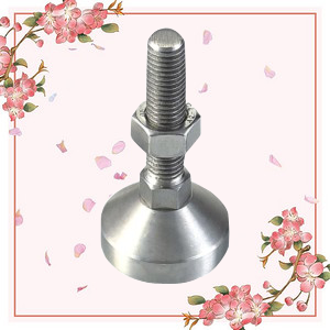 Pieds réglables en acier inoxydable M24 L150, remplacement robuste pour WAD01 D80 - Product Image 3