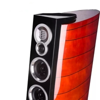 Enceintes de sol DX-5 10 pouces, tour passive HiFi audiophile, cabinet laqué piano, système audio home cinéma haut de gamme