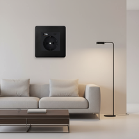 Prise murale standard européenne allemande 16A 220V, en PC blanc, étanche, durable, charge rapide, pour usage domestique, 86*86