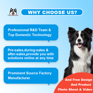 Kissbio ผลิตภัณฑ์เสริมอาหารสำหรับสัตว์เลี้ยงแบบโปรไบโอติกจากธรรมชาติผลิตจากยาแคปซูลเคี้ยวนุ่มสำหรับดูแลสุขภาพสุนัขและแมว - Product Image 4