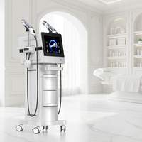 Appareil facial NewFace Hydra 2 en 1, beauté de la peau, pulvérisation haute pression, introduction ultrasonique 3 MHz, jet d'oxygène transdermique 60L