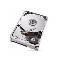Disque dur interne NAS Seagate Iron Pro 16 To 7200 tr/min 3,5 pouces pour serveur, modèles ST16000NE000 ST16000NM001G ST16000NM000J