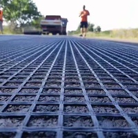 80kN 100kN Route Renforcement Enduit De Bitume Asphalte Fibre De Verre Grille Géogrille pour L'expansion De La Route et Ingénierie De Rénovation