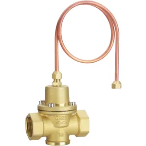 Brass Wire Buckle Self-Operated Differential Pressure Control Valve Copper Buckle Dynamic Differential Pressure Balancing Valve