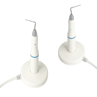 Stylo d'obturation électrique sans fil pour gutta-percha, pour points de gutta-percha et traitement des canaux radiculaires, coupe-gutta-percha électrique