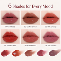 Gloss à lèvres naturel personnalisé longue tenue avec logo sur mesure pour un look naturel, fini velours mat, faible saturation, gris rose rose