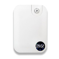 Le hall de l'hôtel Grande capacité commerciale Huile essentielle Aromathérapie Machine Cool Mist Maker Volume Brouillard Huile Aroma Diffuseurs