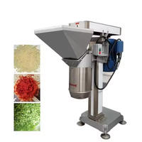 Commerciële roestvrijstalen motor aangedreven 380V 3KW fruit- en groentepureemachine multifunctionele chilipeper- en knoflookpasta machine