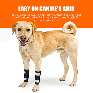 Attelle de soutien pour pattes avant de chien avec ressorts pour la cicatrisation des plaies et la protection des blessures, enveloppe de compression pour cheville d'animal de compagnie - Product Image 2