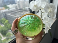Meilleures ventes : Squishies Taba anti-stress, grands, arc-en-ciel, scintillants, souriants, en forme de boulette et de bao bun, boîte mystère