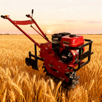 Máquina Agrícola Diésel en Oferta, Tractor Agrícola, Mini Cultivador Rotatorio de Jardín, Cultivadores Motorizados, Arado de Surcos, Cultivador Motorizado