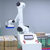 Huayan S20 S30 S40 Cobot Palletizing Robot Workstation 6 Axis Collaborative Robot untuk Pengambilan dan Penempatan Kotak Karton dengan Gripper