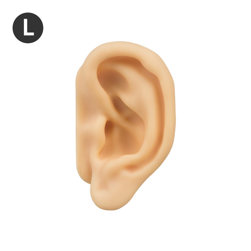 Tono de piel Oreja Izquierda - Práctica de Acupresión Oreja Grande