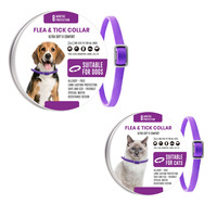 Collier anti-puces et anti-tiques recommandé par les vétérinaires pour chiens et chats, 8 mois de protection et traitement
