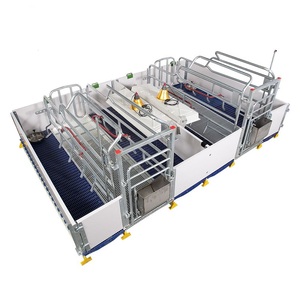 Chất Lượng Cao Pig Farrowing Crate, Pig Gia Cầm Lồng, Pig Trang Trại Thiết Bị - Product Image 5