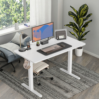 Bureau assis-debout électrique ergonomique moderne à moteur unique, hauteur réglable, 2 segments, pour bureau à domicile (1000N)
