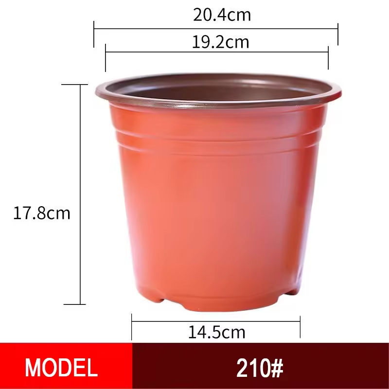 20cm*18cm