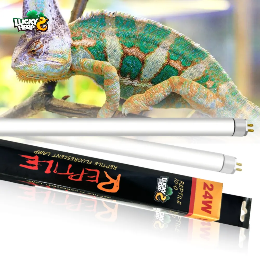 LUCKY HERP T5 UVB 5.0 10.0 lampu reptil, lampu neon tabung UVB pencahayaan bohlam untuk kura-kura bunglon 8W 24W 39W 54W UVA UVB