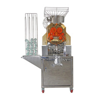 Commerciële Sapcentrifuge Automatische Sinaasappelpers Machine Geheel