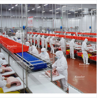 Sistem Konveyor Sabuk/Rantai Industri Otomatis Dua Tingkat dengan Kecepatan yang Dapat Disesuaikan