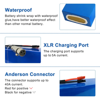 Chargeur de batterie de vélo électrique Hailong 48V/36V/52V avec support de batterie downtube et batterie au lithium 10Ah-20Ah pour moteur de vélo électrique 1500W