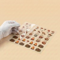 Kit de Stickers 3D Personnalisés Thème Forêt Cottagecore – Stickers DIY Anti-Stress pour Adultes – Kit Paysage Hérisson & Champignons en PET