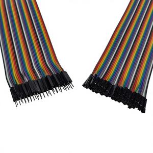 Cablaggio Elettronico Personalizzato in Rame Stagnato, Cavo Piatto Dunton Maschio-Femmina 10 20 30 40 50cm, Dupont Passo 2.54mm 40 Pin - Product Image 1