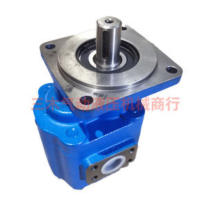 Pompe à huile pour engrenages Cbg F2080 Cbg F2100, pompe hydraulique haute pression monophasée en fonte à entraînement électrique - Product Image 4