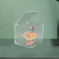 Boîte en acrylique transparente avec couvercle, boîte de rangement carrée transparente pour figurines d'action, maquillage, artisanat, petits objets de collection