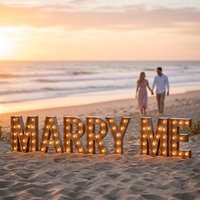 Décoration de mariage personnalisée en métal, enseigne lumineuse géante « LOVE » de 4 et 5 pieds, lettres lumineuses géantes à brancher pour la publicité, les hôtels, les bars, les centres commerciaux