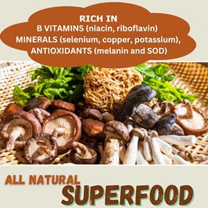 Poudre d'extrait de champignon OEM ODM riche en vitamines B, minéraux et antioxydants pour un soutien immunitaire et cérébral à long terme - Product Image 3