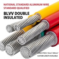 Maßgefertigtes Doppelschicht-BLVV-Kabel für Sicherheitsteams, Verstärktes OFA-PVC 450/750V Hauskabel für Gewerbegebäude