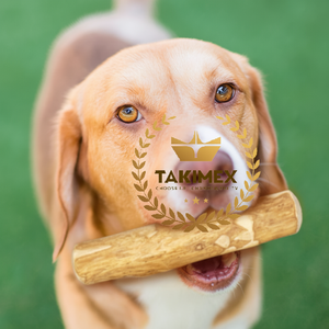 Juguetes Masticables para Perros de Madera de Café Ecológicos de Alta Calidad Listos para Exportar desde Vietnam Divertidos - Product Image 1