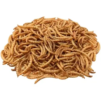 dried mealworms animal food