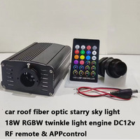Kits de fibre optique 18W RGBW LED Twinkle Starry Sky pour voiture 500 pièces 3 mètres 0.75mm avec contrôle APP IP20 toit de voiture