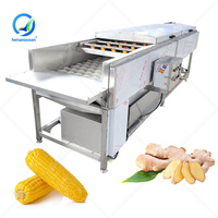 Oceaan Automatische Zoete Aardappel Wasmachine Radijs Schone Palm Dadelwasmachine Voor Groot Commercieel Fruit