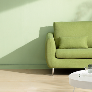 Peinture silicate inorganique magnifique avec finition mate naturelle pour la décoration intérieure moderne - Product Image 4