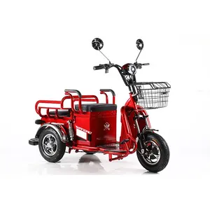 Tricycle électrique ouvertes 48v pour adultes, 3 roues, en vente à l'usine