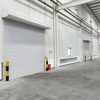 Porte de garage en acier durable, à enroulement, pour atelier, entrepôt, entraînement électrique, faible entretien, résistante au vent et à l'eau, fabrication allemande
