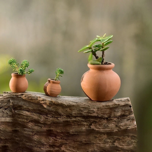 Pots de jardin en terre cuite naturelle, vintage, faits à la main, sculptés à la main, durables, pour fleurs, plantes, herbes, décoration de la maison - Product Image 3