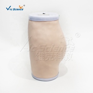 Simulateur d'<span class=keywords><strong>injection</strong></span> <span class=keywords><strong>intramusculaire</strong></span> fessière semi-transparent grandeur nature avec repères osseux palpables pour l'enseignement infirmier CE ISO ROHS CNAS - Product Image 5