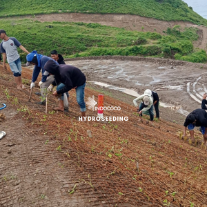 Geotextil de Fibra de Coco Sostenible para Proyectos de Revegetación con Excelentes Propiedades de Retención de Humedad - Product Image 6