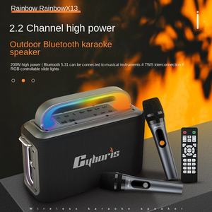 Cyboris X13 Rainbow K-Song 2.0 canale Home Theatre altoparlante 300W batteria ad alta potenza IPX4 impermeabile RGB LED - Product Image 2